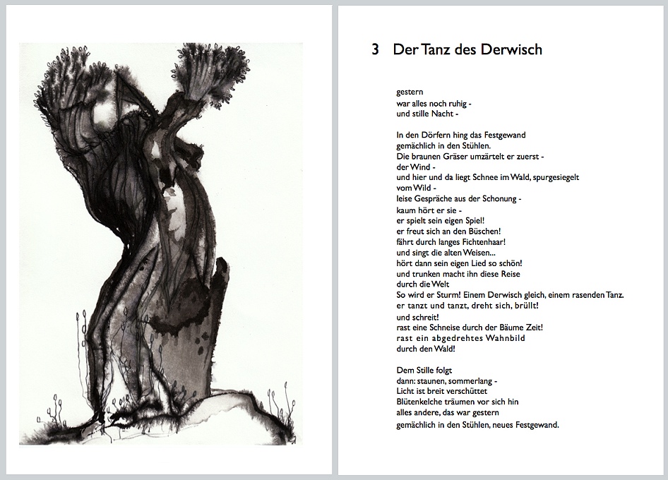 Leseprobe: Der Tanz des Derwisch